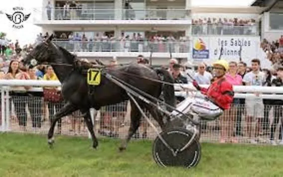 Appartamento Forever *